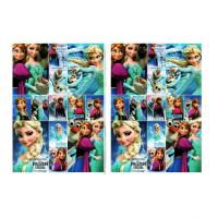 Boyama Kitabı Stickerlı Elsa Karlar Ülkesi Model