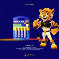 Eurocell Kalem Pil AA