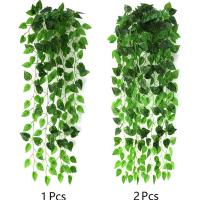 Toptan Asma Petus 90 cm Yeşil