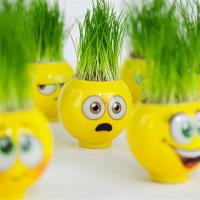 Toptan Emoji Kafa Çim Adam