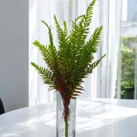 Toptan Yapay Aşk Merdiveni Demeti 65 cm 