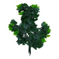 Toptan Yapay Benjamin Yaprağı 60 cm 12'li