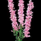 toptan parti malzemeleri