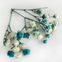 Doğal Cipso Çiçek Mavi