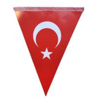 Türk Bayrağı Üçgen İpli Flama